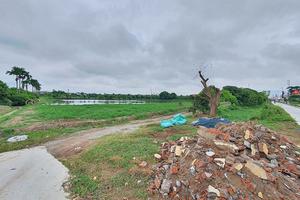 Vi phạm đất đai tại huyện Tứ Kỳ có quy mô lớn