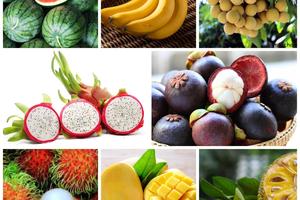 Nguồn cung hàng hóa bảo đảm đủ trước, trong và sau bão Yagi