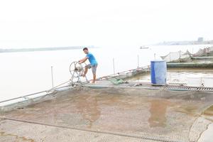 Bắc Ninh lập 6 đoàn kiểm tra ứng phó với bão Yagi

