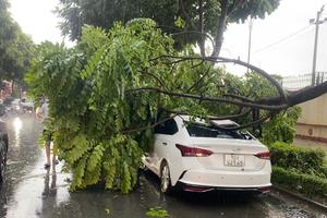 Bão số 3: Hà Nội gió mạnh nhất từ 19h ngày 7/9 đến 1h ngày 8/9