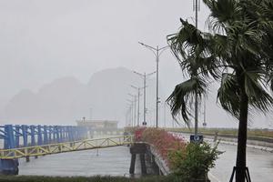 Ghi nhận những thiệt hại ban đầu do bão số 3