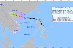 Bão số 3 sẽ đổ bổ vào đất liền với cường độ rất mạnh