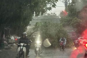 Bão số 3 gây mưa lớn làm thiệt hại nhiều tài sản và 1 người chết