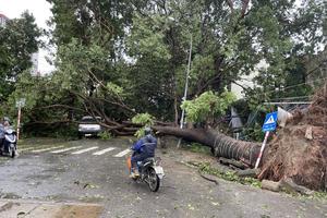 Hà Nội tan hoang sau bão Yagi

