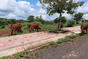 Ai chịu trách nhiệm về loạt sai phạm tại dự án Khu đô thị Đông Nam của VN Đà Thành?