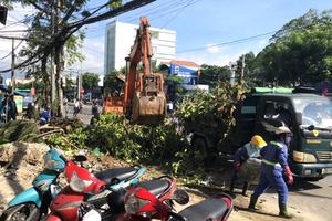 Cử 2 tổ công tác hỗ trợ cắt, tỉa, dọn dẹp cây xanh ngã đổ tại Hà Nội và Hải Phòng