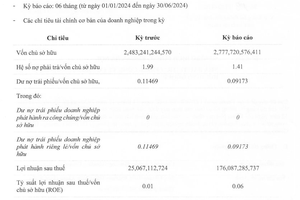 Nửa đầu năm 2024, chủ đầu tư chuỗi dự án nghỉ dưỡng Flamingo báo lãi gấp 7 lần cùng kỳ