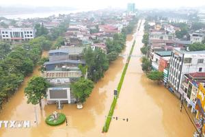 Chủ động ứng phó áp thấp nhiệt đới có khả năng mạnh lên thành bão