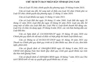 Quảng Nam: Không có cơ sở giải quyết khiếu nại lần 2 của bà Trần Thị Tạo