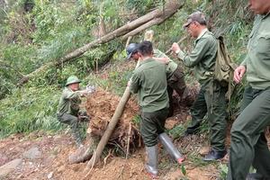 Đảm bảo an toàn tuyệt đối cho du khách về Yên Tử sau bão số 3