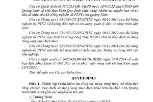 Kiểm tra công tác trồng rừng thay thế diện tích rừng chuyển mục đích sử dụng