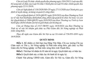 Bổ nhiệm và bổ nhiệm lại 3 phó giám đốc sở