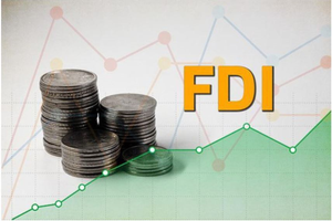 Vốn FDI đầu tư vào Việt Nam đạt hơn gần 25 tỷ USD