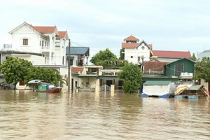 Ninh Bình: Chỉ đạo tập trung khôi phục sản xuất sau cơn bão số 3