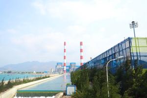 Nhà máy Nhiệt điện Vĩnh Tân 4: Doanh nghiệp tiên phong chuyển đổi xanh
