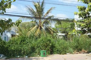 UBND tỉnh “đang đôn đốc” chỉ đạo giải quyết