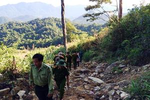 Kiểm tra, báo cáo trước ngày 30/9