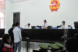 Nhổ trộm cần sa đem bán, 9X lĩnh án