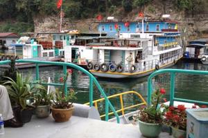 16/9, bão Kalmaegi cách Quảng Ninh - Hải Phòng 170km