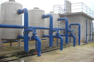 Nâng cấp đê chống được bão cấp 10 trở lên