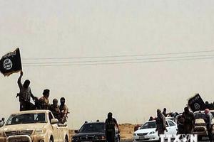 Hơn 900 người Pháp tham gia thánh chiến cùng IS ở Iraq và Syria