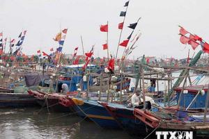 Quảng Ninh khẩn cấp di dân, Móng Cái mất điện trên diện rộng