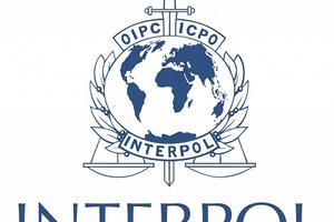Interpol tham gia chiến dịch chống hàng giả ở châu Á
