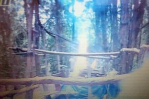 Truy quét “vàng tặc” tại xã biên giới Đăk Blô