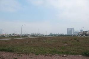 Thu hồi đất không sử dụng 