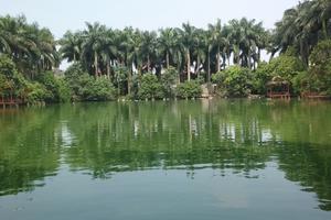 Cần có câu trả lời thỏa đáng     