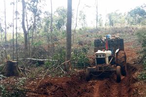 UBND tỉnh giao các cấp, ngành phối hợp giải quyết