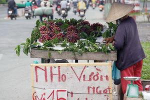 Nho “lạ” giá 30.000 đồng/kg bán ngập thị trường