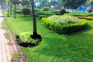 Tin mới nhất về vụ thi thể bị phân khúc vứt bên đường