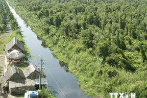 Phát hiện nhiều động vật hoang dã quý hiếm ở rừng U Minh Hạ