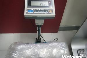 Bắt giữ vụ vận chuyển 1,73kg cocain tại sân bay Tân Sơn Nhất