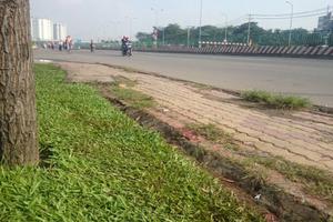 Lại phát hiện thi thể bị phân 3 khúc vứt bên đường