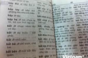 Từ điển Vũ Chất: Nhà Xuất bản xin lỗi, Cục nói sách mạo danh?