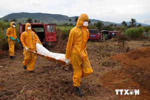 WHO: Tỷ lệ tử vong ở Tây Phi do nhiễm virus Ebola lên đến 70%