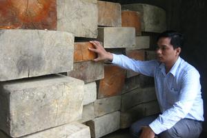 Bắt giữ 7 xe máy dùng để vận chuyển gỗ trái phép