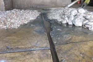 Phạt 12 triệu đồng và buộc khắc phục môi trường