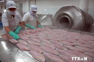 Cá tra, basa Việt Nam tiếp tục bị Mỹ áp thuế chống bán phá giá