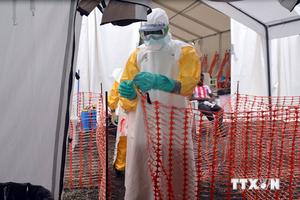 WHO công bố các khuyến cáo an toàn trong điều trị Ebola