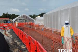 Ấn Độ phát hiện trường hợp đầu tiên dương tính với virus Ebola