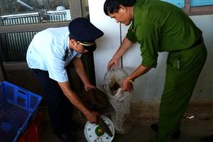 Gần một tạ động vật hoang dã từ Lào vào Việt Nam