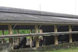 Người dân khốn khổ vì mùi mủ cao su