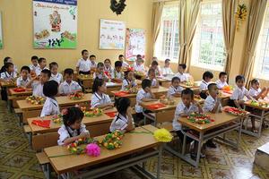 Mới thấy “ngọn”, chưa thấy “gốc”