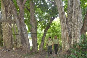 Việt Nam sẵn sàng trong việc giảm thiểu biến đổi khí hậu