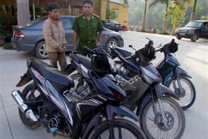 Trộm xe máy tại Việt Nam, mang bán sang Trung Quốc