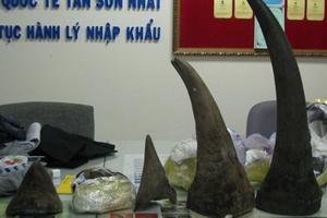Nghi án 7kg sừng tê giác vận chuyển vào Việt Nam