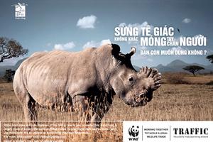 Chung tay chấm dứt nạn thảm sát tê giác để lấy sừng